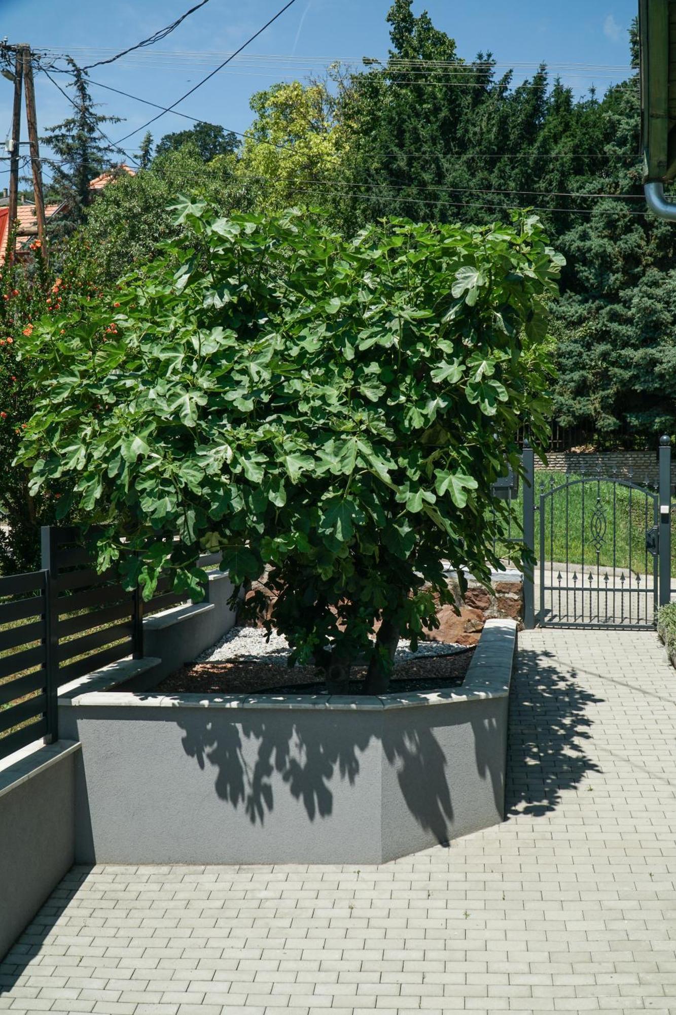 Fuegefa Apartman Balatonalmadi Luaran gambar